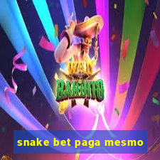 snake bet paga mesmo