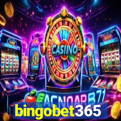 bingobet365