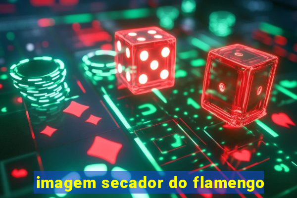 imagem secador do flamengo