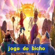 jogo do bicho tipos de apostas