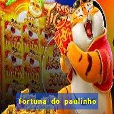 fortuna do paulinho do roupa nova