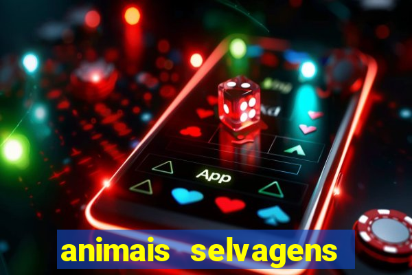 animais selvagens fotos e nomes