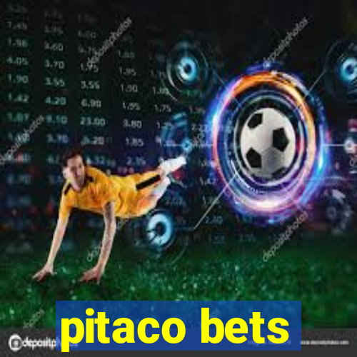 pitaco bets