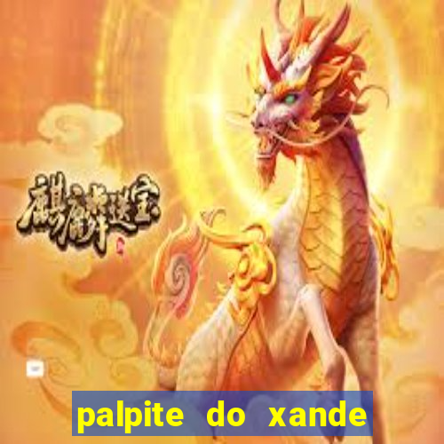 palpite do xande de hoje