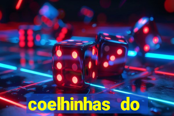 coelhinhas do brasil acompanhantes