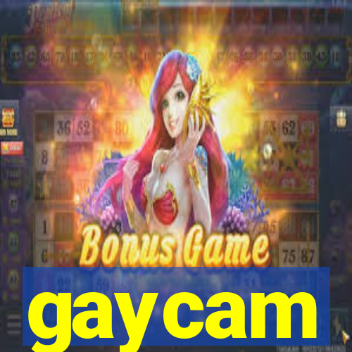 gaycam