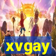 xvgay