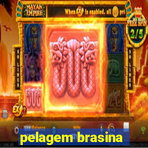 pelagem brasina