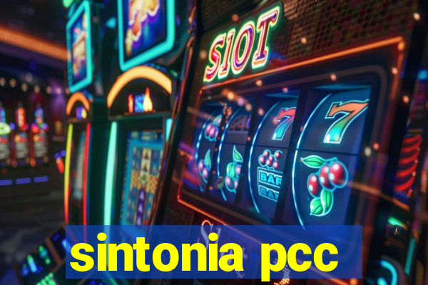 sintonia pcc