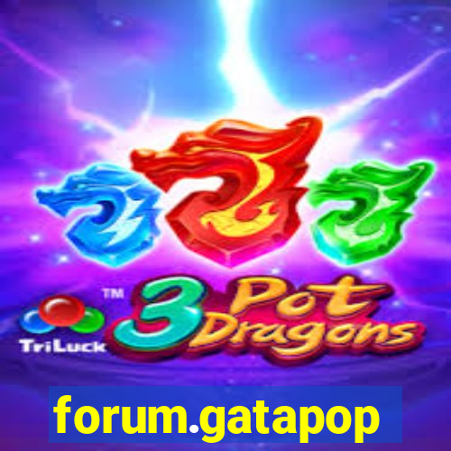 forum.gatapop