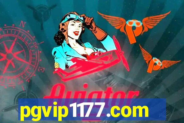 pgvip1177.com