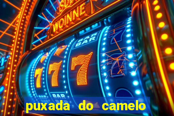 puxada do camelo jogo do bicho