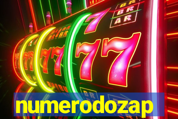 numerodozap
