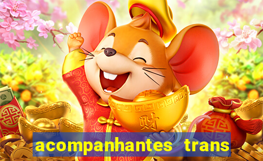 acompanhantes trans santos sp