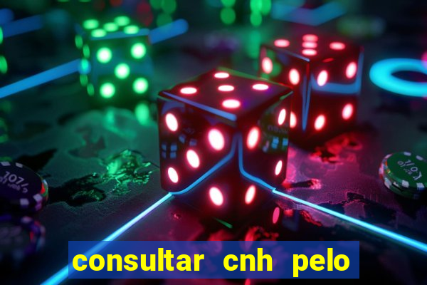 consultar cnh pelo cpf sp