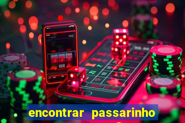 encontrar passarinho morto significado