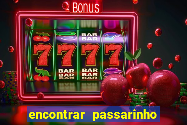 encontrar passarinho morto significado