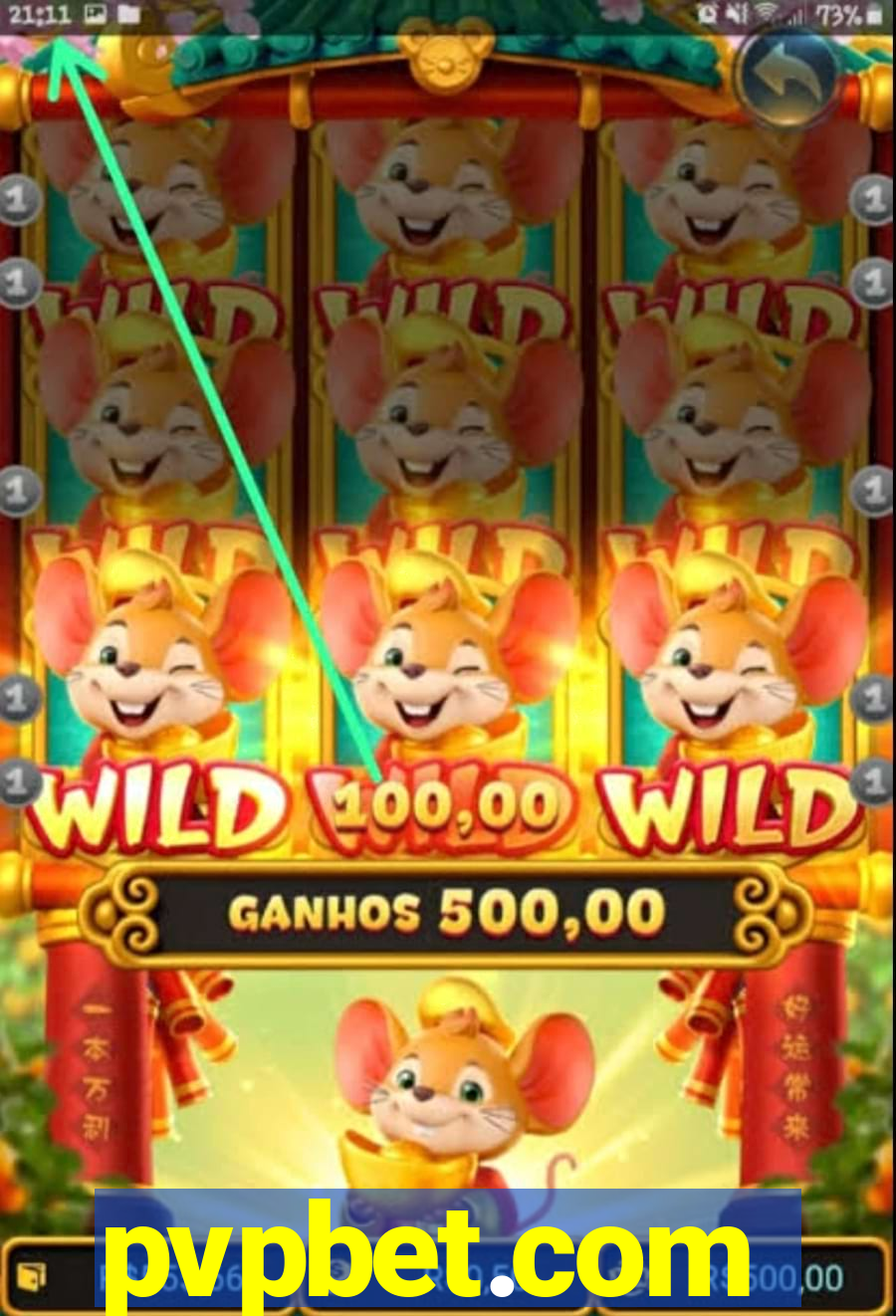 pvpbet.com