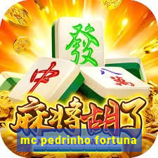 mc pedrinho fortuna