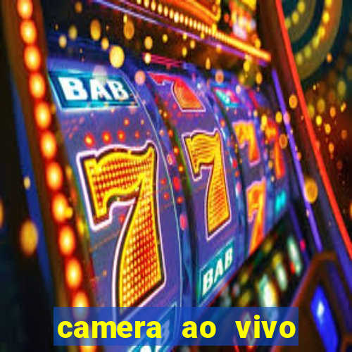 camera ao vivo porto de galinhas