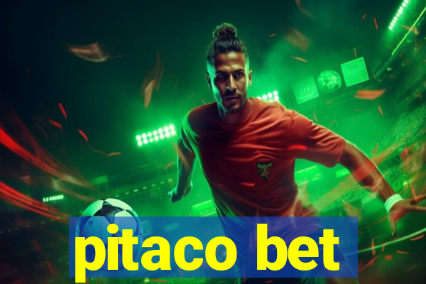 pitaco bet