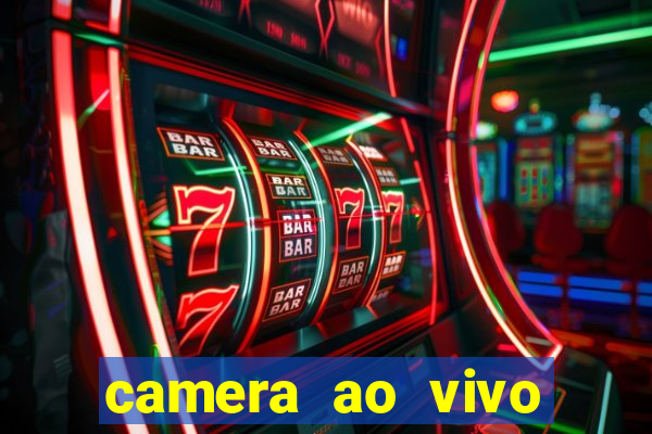 camera ao vivo beto carrero
