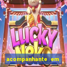 acompanhante em porto nacional