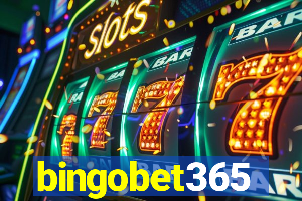 bingobet365