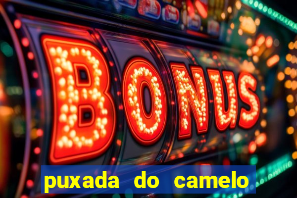 puxada do camelo no jogo do bicho