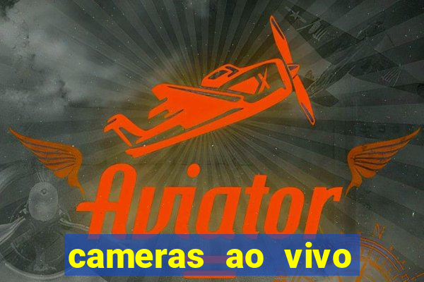 cameras ao vivo beto carrero