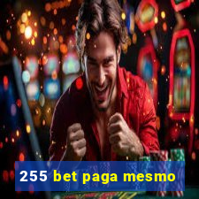 255 bet paga mesmo