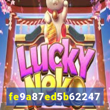 6020bet